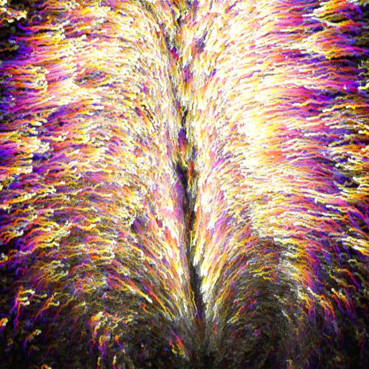 Photos of the Year The Scientist Magazine®